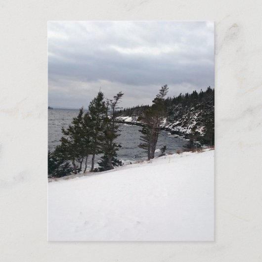 Carte Postale Le plaisir du coeur (Devant)