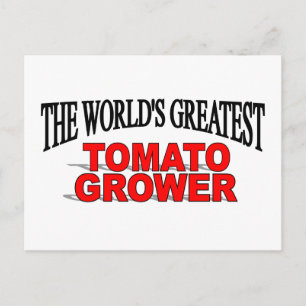 Carte Postale Le plus grand producteur mondial de tomates