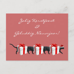 Carte Postale Le plus long chat du monde