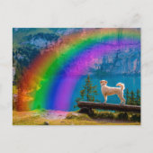 Carte Postale Le Poème du Pont Arc-en-Ciel, En Mémoire d'un Anim (Devant)