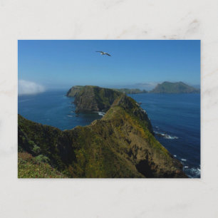 Carte Postale Le point d'inspiration d'Anacapa I dans les îles a