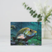 Carte Postale Le poisson (Debout devant)