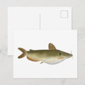 Carte Postale Le poisson-chat de Günther (Devant / Derrière)