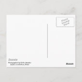 Carte Postale Le pont Ludendorff reste à Erpel, Remagen (Dos)