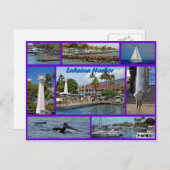 Carte Postale Le port de Lahaina (Devant / Derrière)
