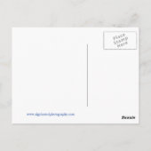 Carte Postale Le port de Toronto (Dos)