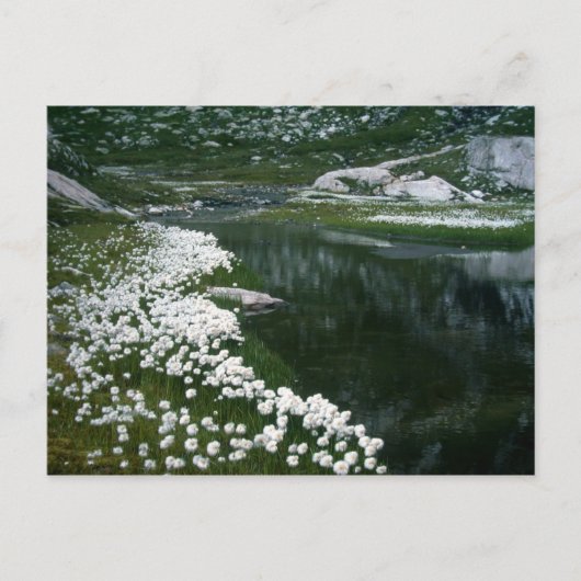 CARTE POSTALE LE PORTE (Devant)