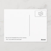 Carte Postale Le Possum brossé commun d'Australie (Dos)