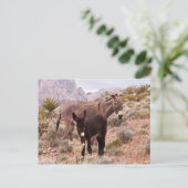 Carte Postale Le poulal de Jenny (Debout devant)