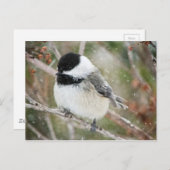 Carte Postale Le poulet dans une tempête de neige (Devant / Derrière)