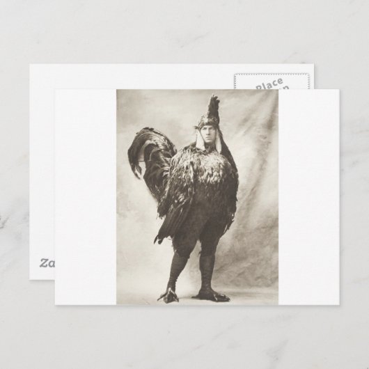 Carte Postale Le Poulet Le Plus Dignifié De Tous (Devant / Derrière)