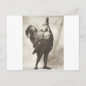 Carte Postale Le Poulet Le Plus Dignifié De Tous (Devant)