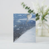 Carte Postale Le premier Aeronaut du capitaine Scott Antarctica. (Debout devant)