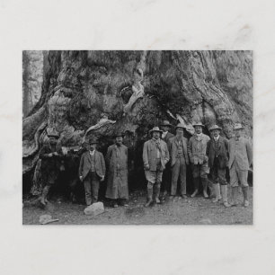 Carte Postale Le président Roosevelt et John Muir Californie 190