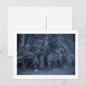 Carte Postale Le président Roosevelt et John Muir (Cyan) (Devant / Derrière)