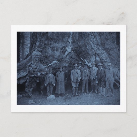 Carte Postale Le président Roosevelt et John Muir (Cyan) (Devant)