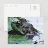 Carte Postale "Le Prince Charming" (Devant / Derrière)