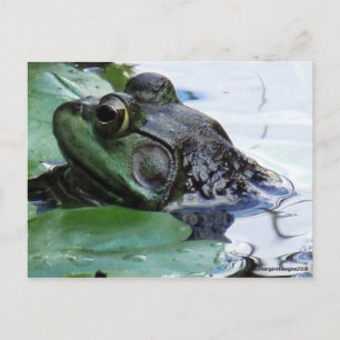 Carte Postale "Le Prince Charming"