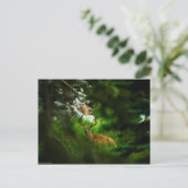 Carte Postale Le Prince de la Forêt (Debout devant)