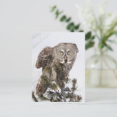 Carte Postale Le prince perché.jpg (Debout devant)