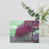 Carte Postale Le printemps à la campagne (Debout devant)