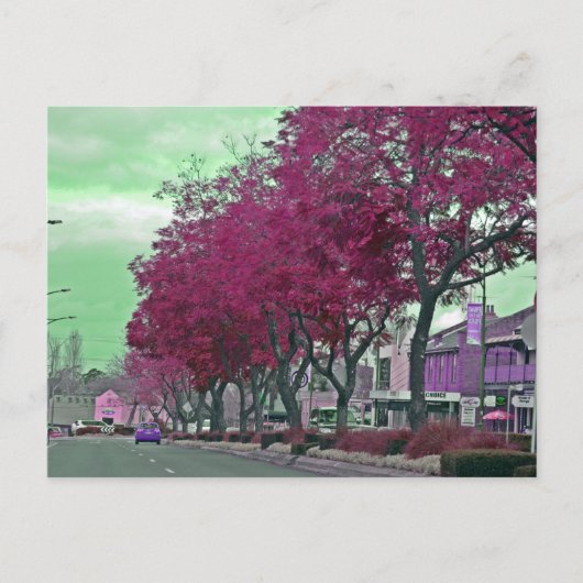 Carte Postale Le printemps à la campagne (Devant)