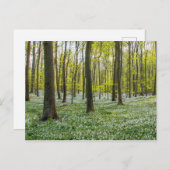 Carte Postale Le printemps à la vie (Devant / Derrière)