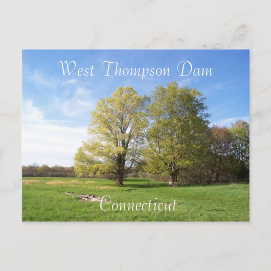 Carte Postale Le printemps a Sprung (Devant)