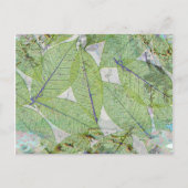 Carte Postale Le printemps a Sprung (Devant)