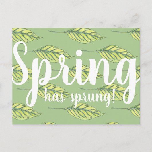 Carte Postale Le printemps a Sprung Feuilles verts (Devant)