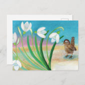 Carte Postale Le printemps arrive - Wren bird & snowdrops (Devant / Derrière)