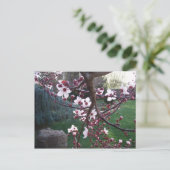 Carte Postale Le printemps est né (Debout devant)