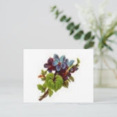 Carte Postale le printemps est proche (Debout devant)