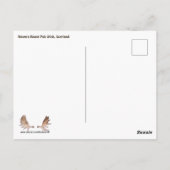 Carte Postale Le Pub Raven's Roost Wick Écosse (Dos)