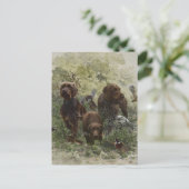 Carte Postale Le Pudelpointer (Debout devant)