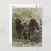 Carte Postale Le Pudelpointer (Devant / Derrière)