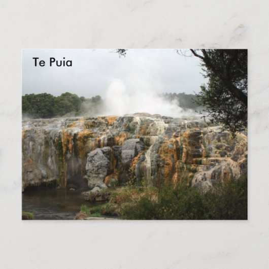 Carte Postale Le Puia (Devant)