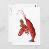 Carte Postale Le quadrille de homard (Devant / Derrière)