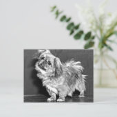 Carte Postale Le Quizzicle Pekingese (Debout devant)