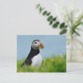 Carte Postale Le Rassembleur Puffin (Debout devant)