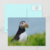 Carte Postale Le Rassembleur Puffin (Devant / Derrière)