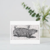 Carte Postale Le rat du Mole palestinien (Debout devant)