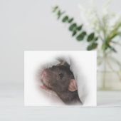 Carte Postale Le rat Dumbo veut jouer ? (Debout devant)