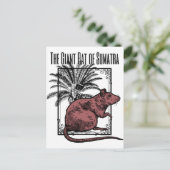 Carte Postale Le Rat géant de Sumatra Holmesian Sherlock Holmes (Debout devant)