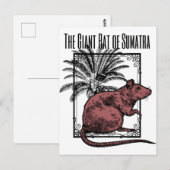 Carte Postale Le Rat géant de Sumatra Holmesian Sherlock Holmes (Devant / Derrière)