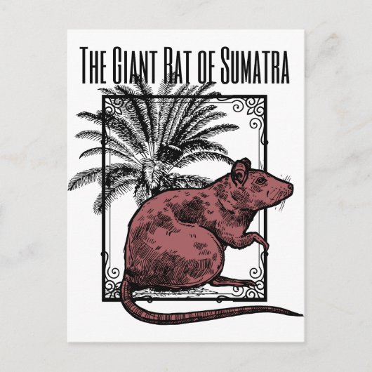 Carte Postale Le Rat géant de Sumatra Holmesian Sherlock Holmes (Devant)