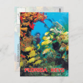 Carte Postale Le récif de Floride dans les Keys de Floride (Devant / Derrière)