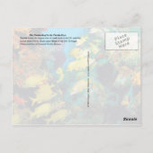 Carte Postale Le récif de Floride dans les Keys de Floride (Dos)