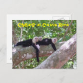 Carte Postale Le refroidissement au Costa Rica (Devant / Derrière)