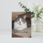 Carte Postale Le regard de Mikey (Debout devant)